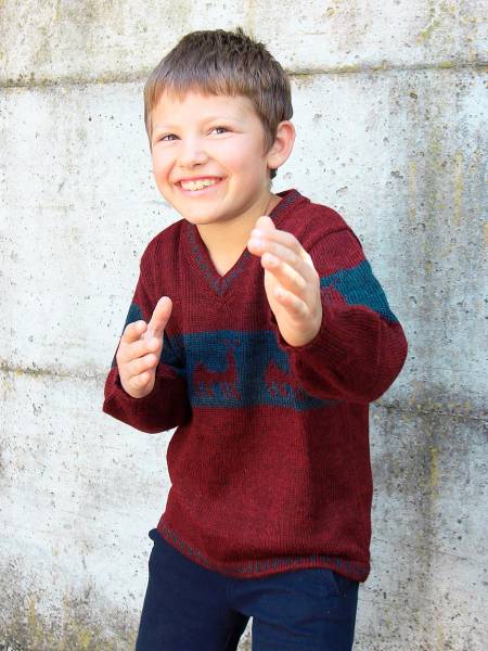 Attila alpaca jumper
