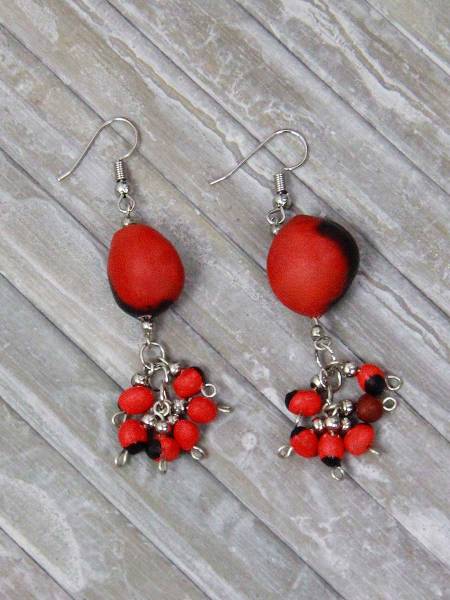 Natural earrings Huayruro