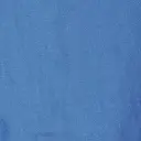 light blue cod.1