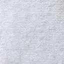 white cod.1
