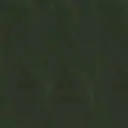 dark green - cod.10
